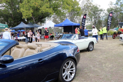 IMG_0051-Tamborine-Car-Show-Aug-2023