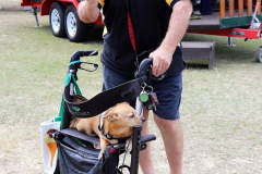 IMG_0370-Tamborine-Car-Show-Aug-2023