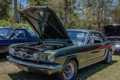 125160579_Tamborines1stCarShow-49icsPhotography