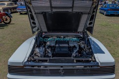 125182843_Tamborines1stCarShow-49icsPhotography