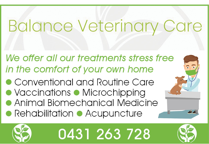 Balance Veterinary Care